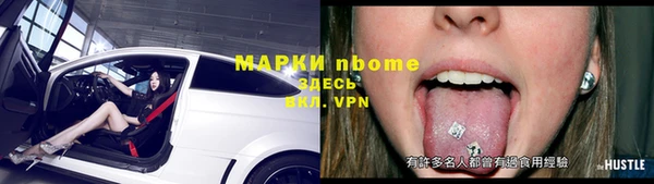 прущие грибы Балабаново