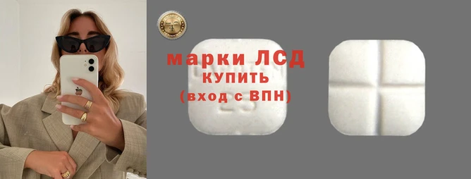 прущие грибы Балабаново