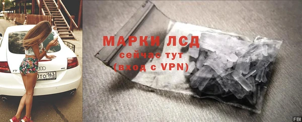 прущие грибы Балабаново