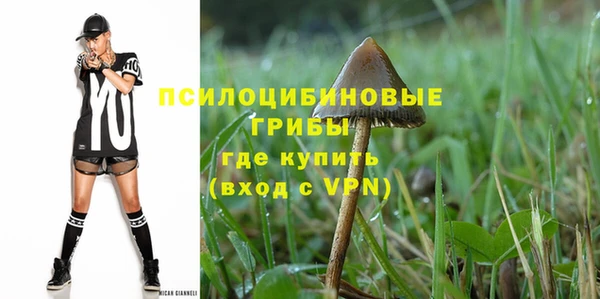 крисы Балахна